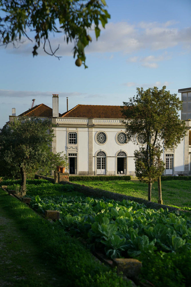 Palacio do Grilo